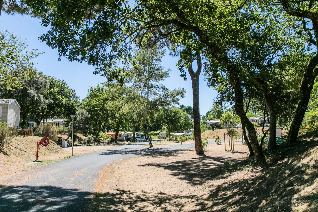 Camping Palmyre Loisirs 4 étoiles★★★★