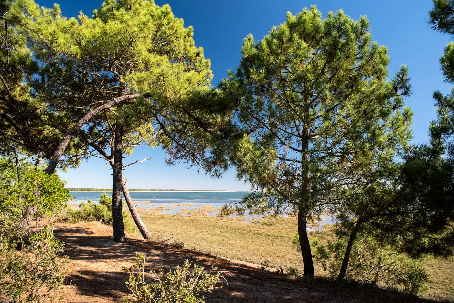 Camping Club La Côte Sauvage***** - MS Vacances - La Palmyre - Les Mathes - 35