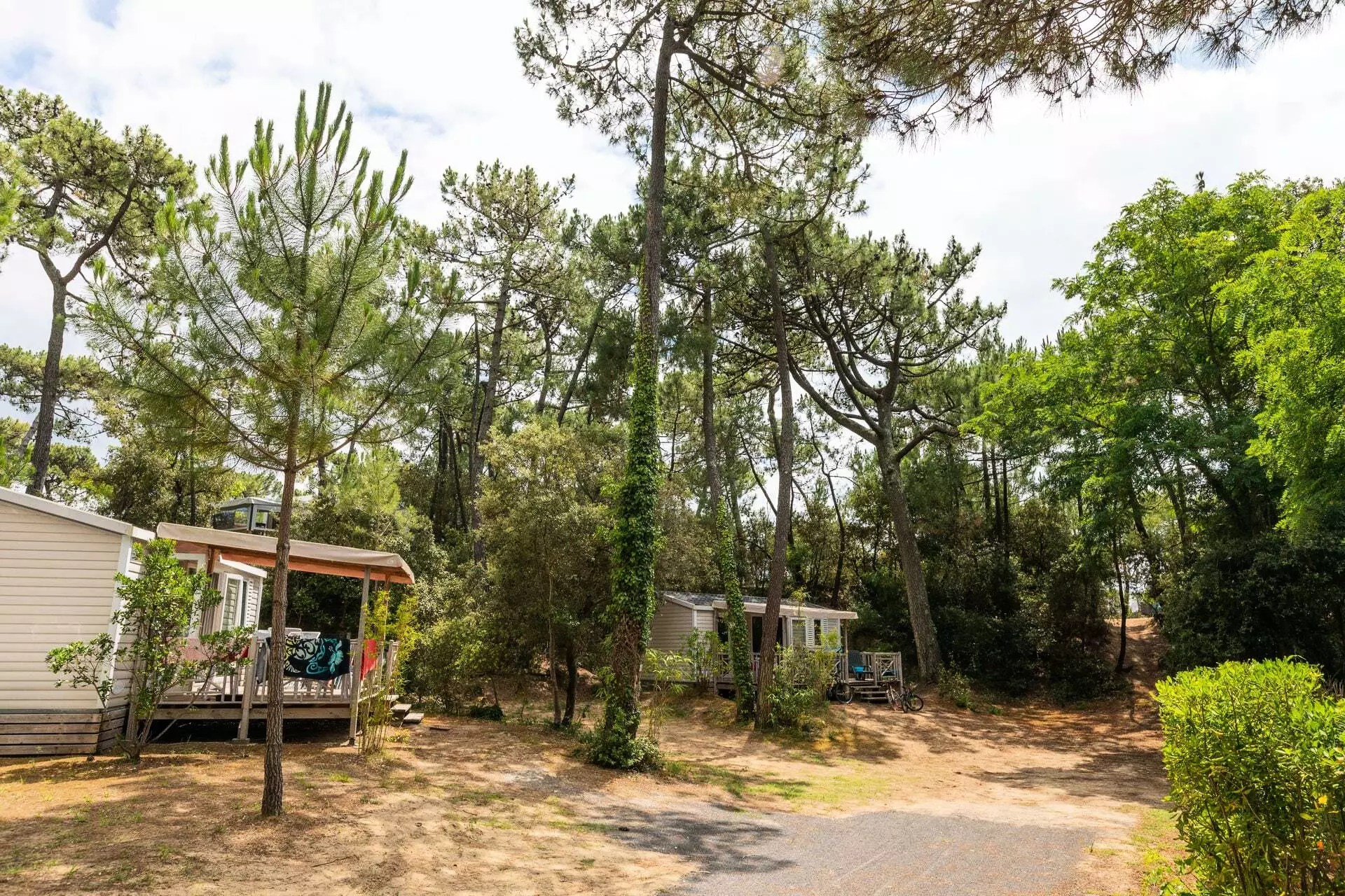 Camping Club La Côte Sauvage***** - MS Vacances - La Palmyre - Les Mathes - 36