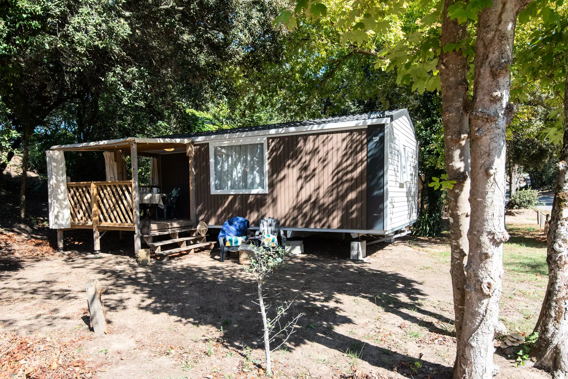 Camping Club La Côte Sauvage***** - MS Vacances - La Palmyre - Les Mathes - 42