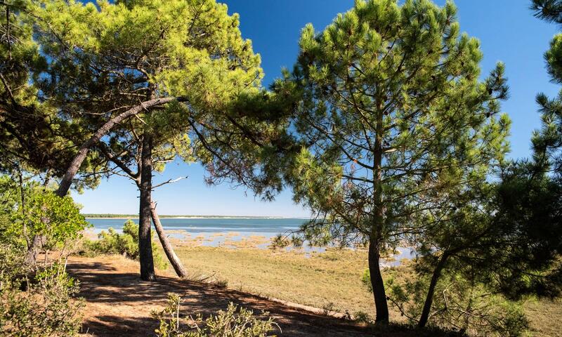 Camping Club MS La Côte Sauvage***** - La Palmyre - Les Mathes - 28