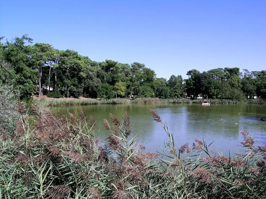 Résidence Les Maisons Du Lac