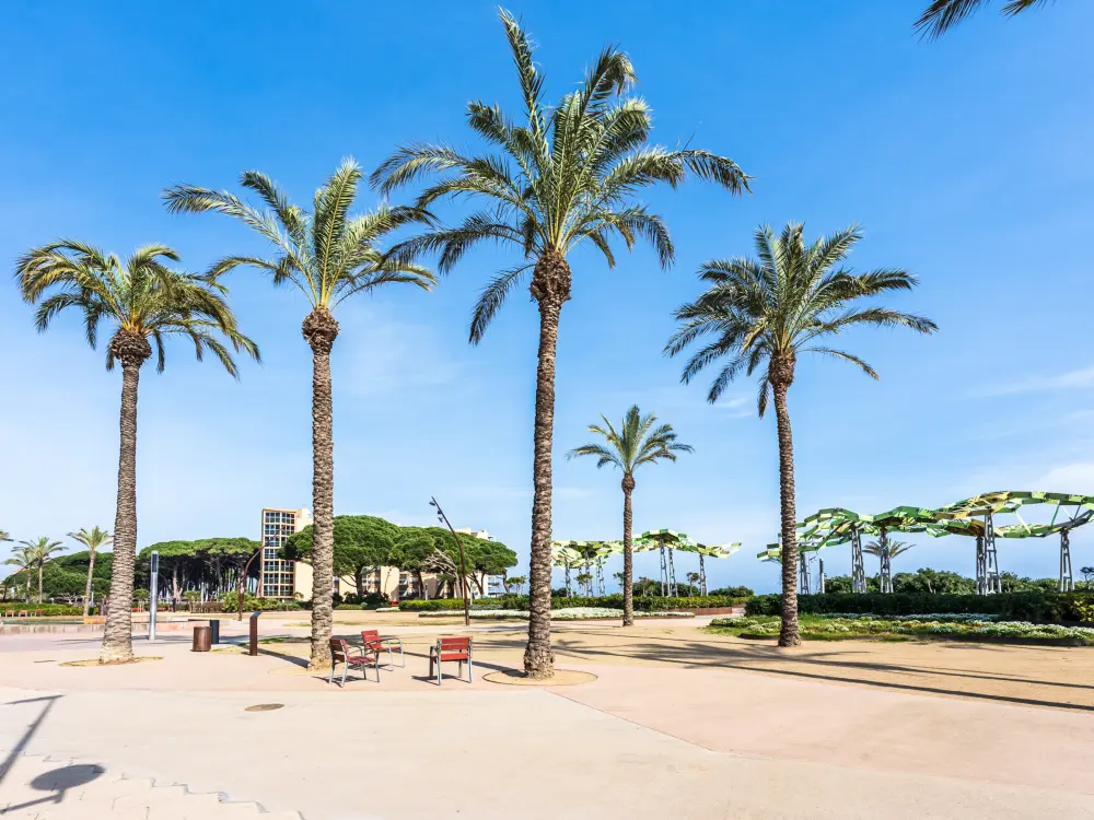 Location de Vacances La Pineda 144