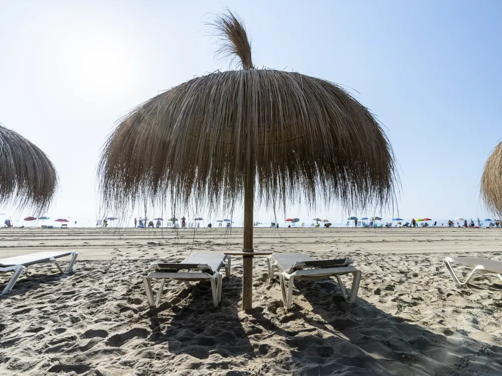 Location de Vacances La Pineda 144