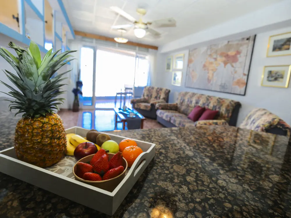 Location de Vacances La Pineda 146