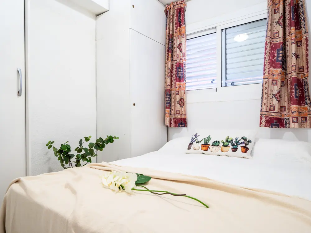 Location de Vacances La Pineda 152