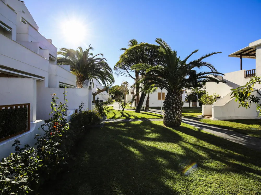 Location de Vacances La Pineda 172