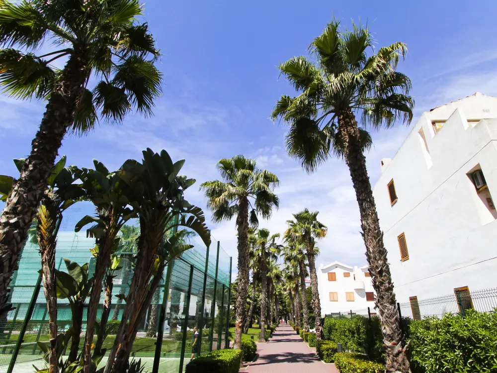 Location de Vacances La Pineda 172