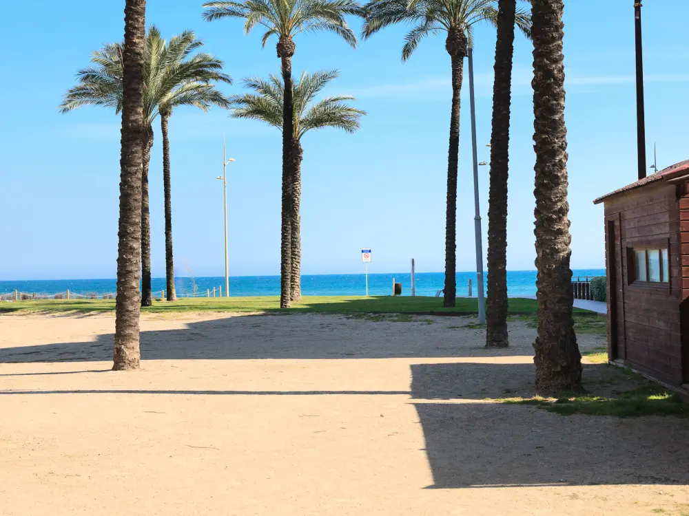 Location de Vacances La Pineda 184