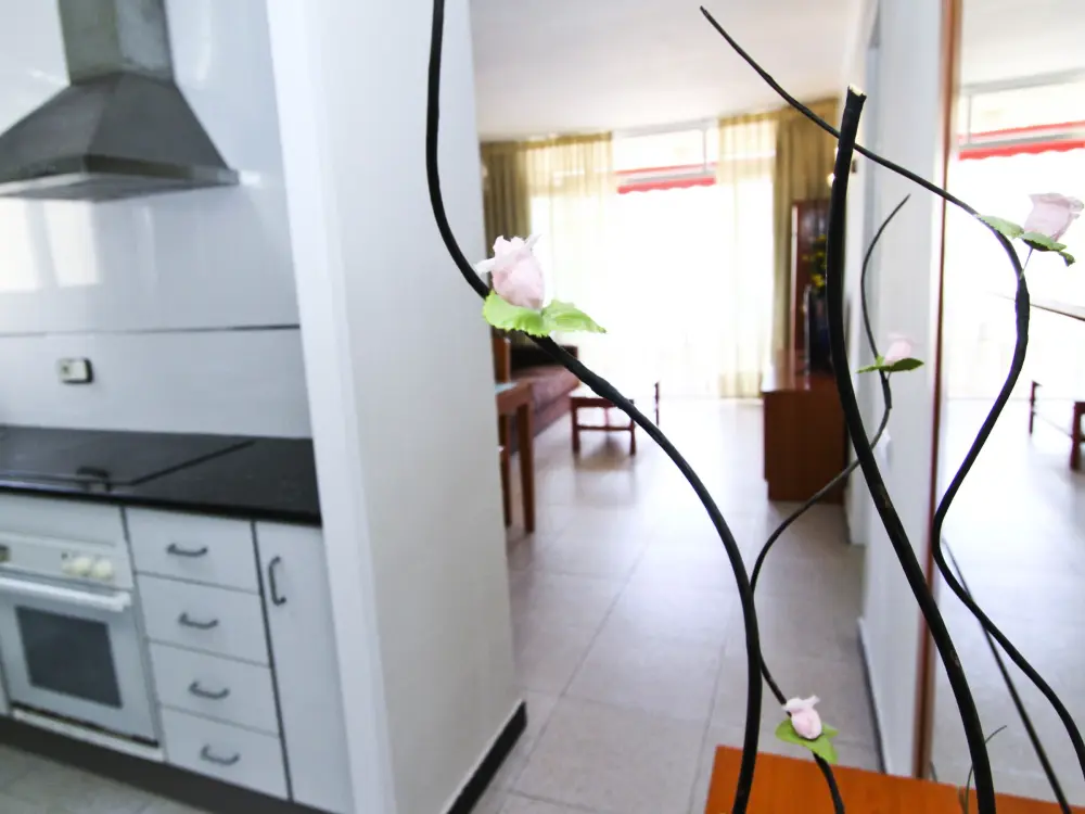 Location de Vacances La Pineda 185
