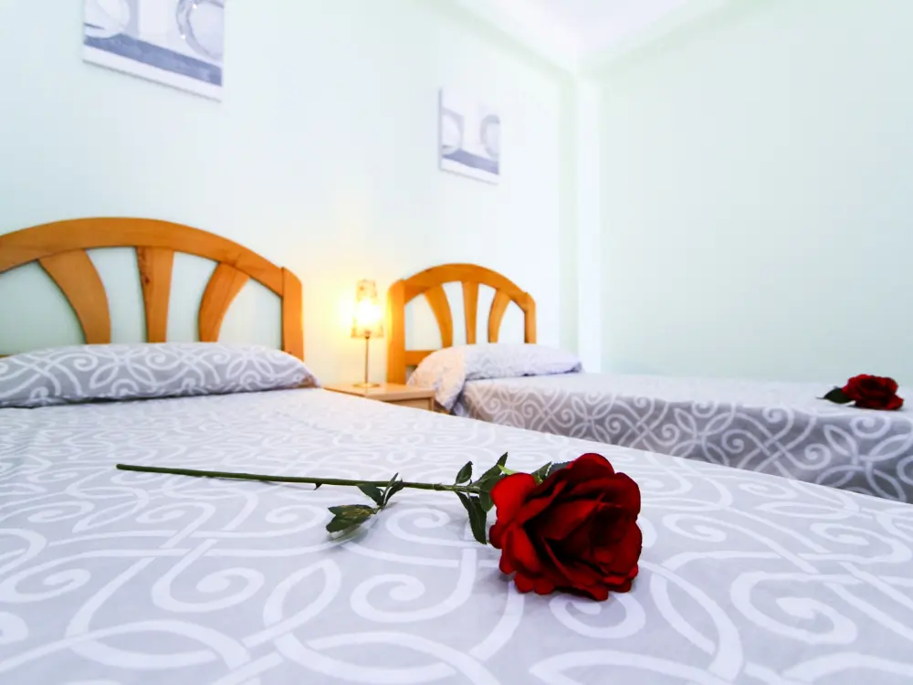 Location de Vacances La Pineda 185