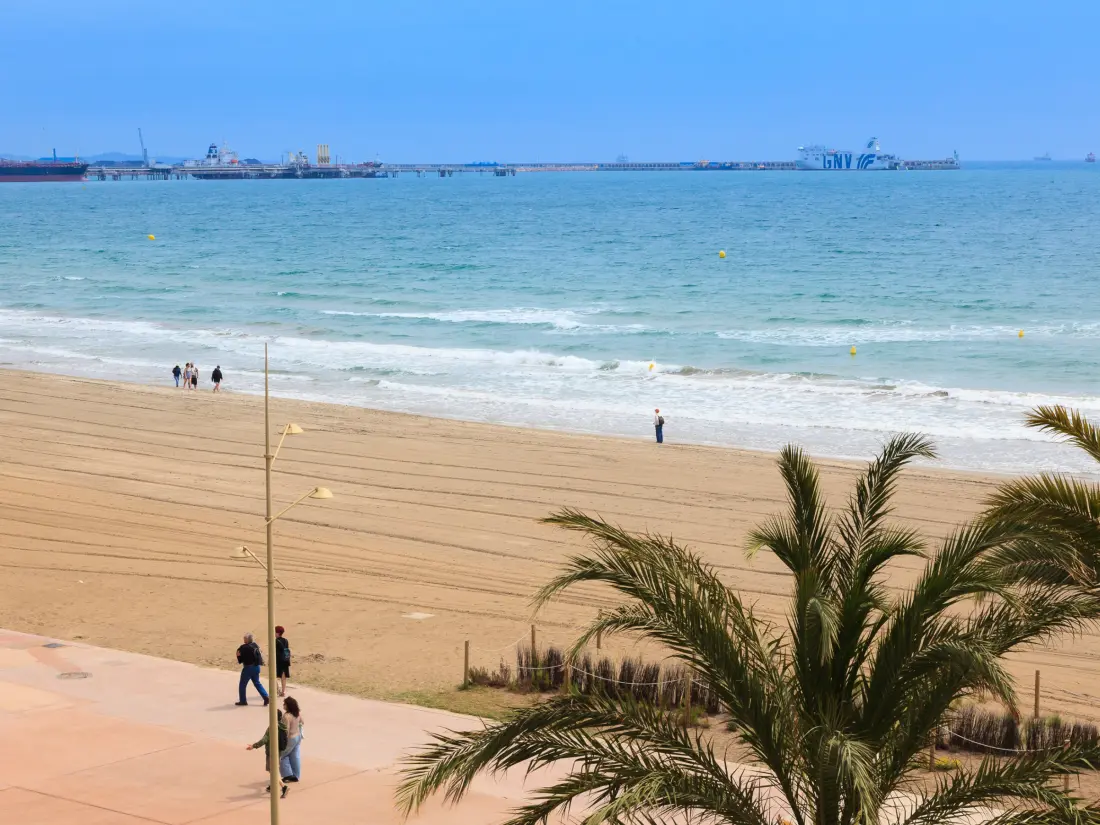 Location de Vacances La Pineda 189