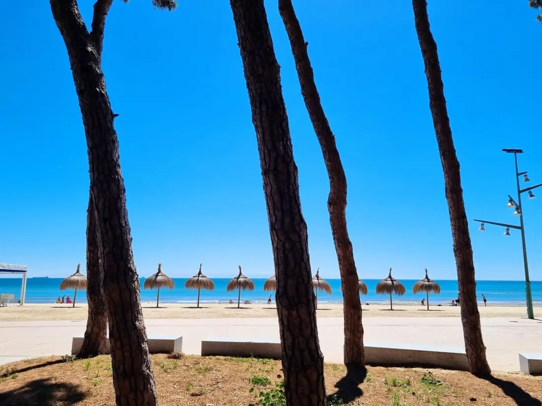 Location de Vacances La Pineda 190