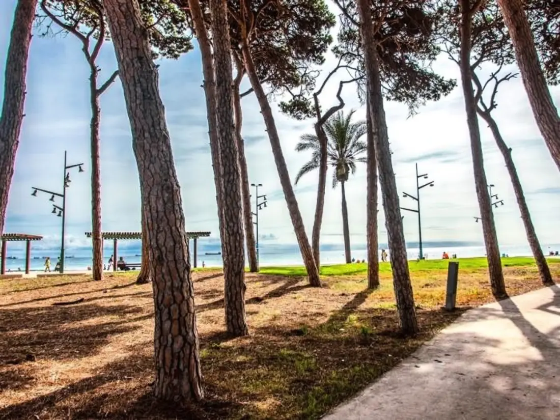 Location de Vacances La Pineda 190