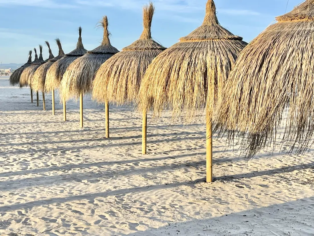 Location de Vacances La Pineda 190