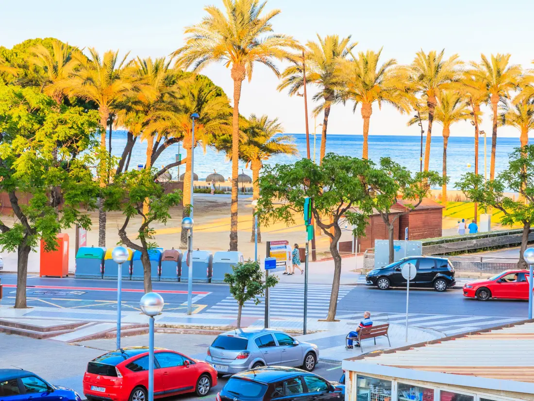 Location de Vacances La Pineda 190
