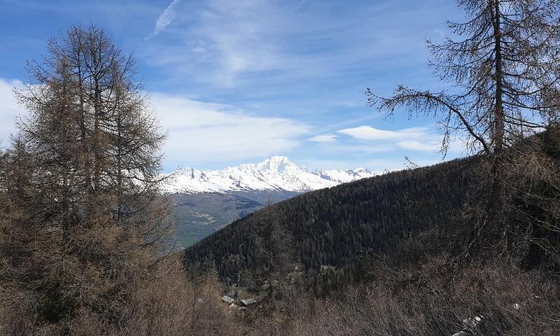 France - Alpes et Savoie - La Plagne - Plagne 1800 - Résidence Plagne Lauze Maeva Home 2*