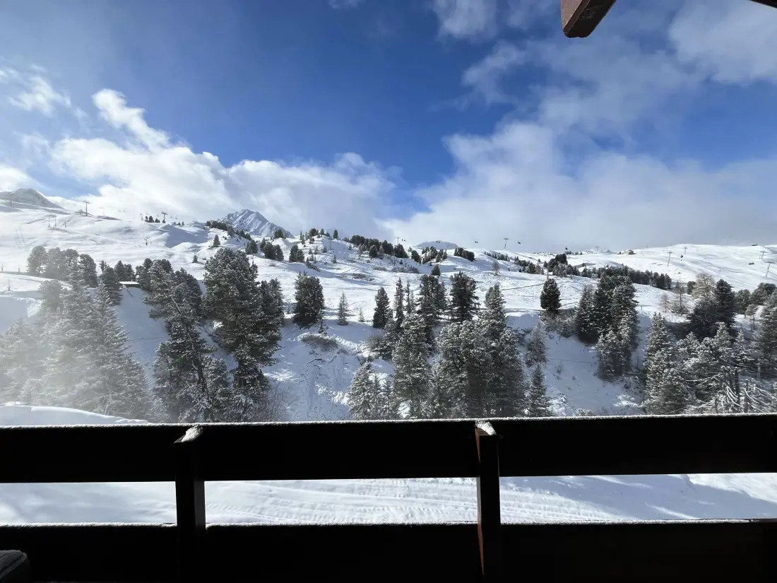 Location de Vacances Belle Plagne 166