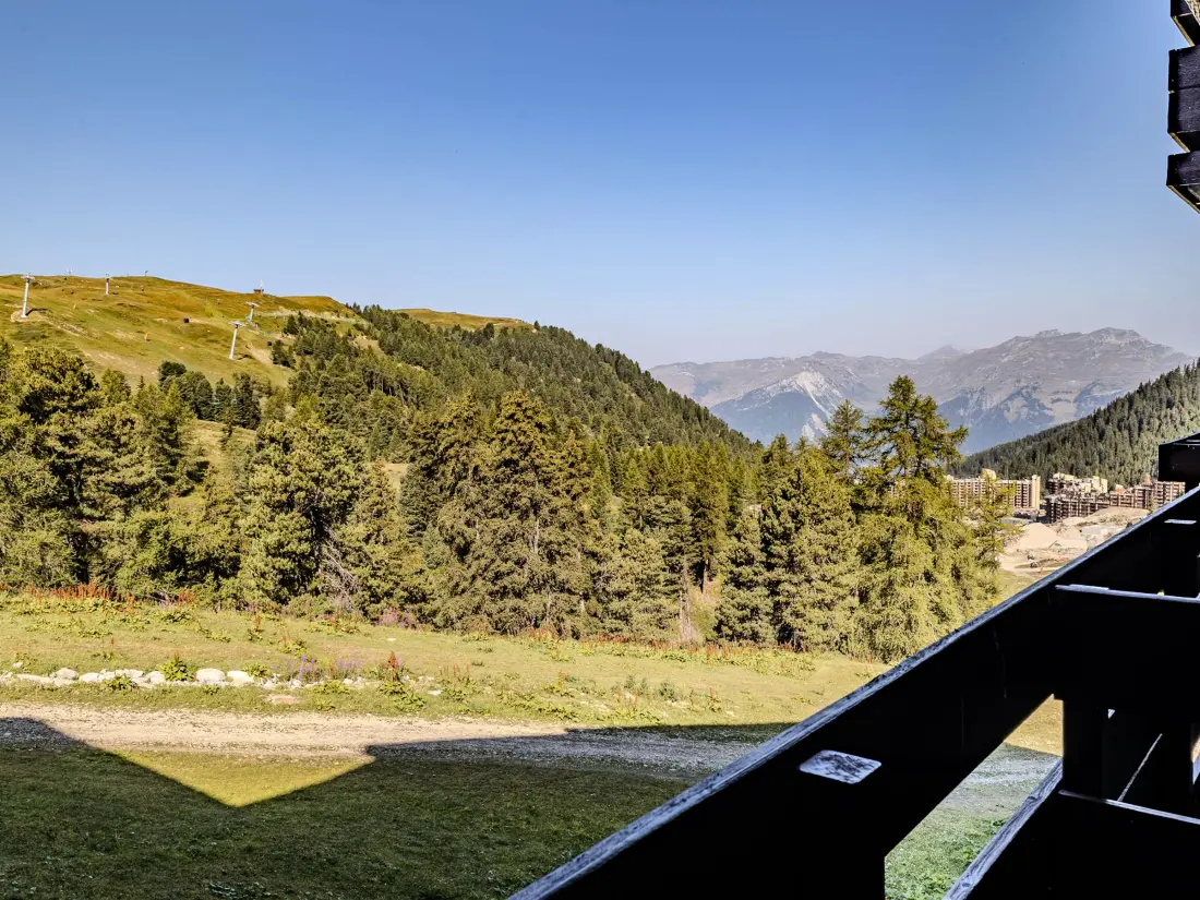 Location de Vacances Belle Plagne 194