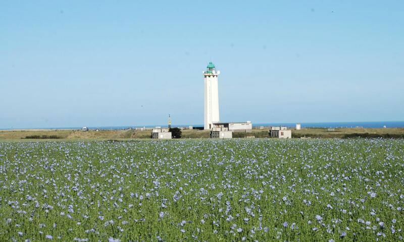 Gîte de France La clozette 3 épis - - La Poterie-Cap-d'Antifer - 30