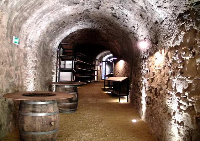 Château de la Redorte **** | Location La Redorte