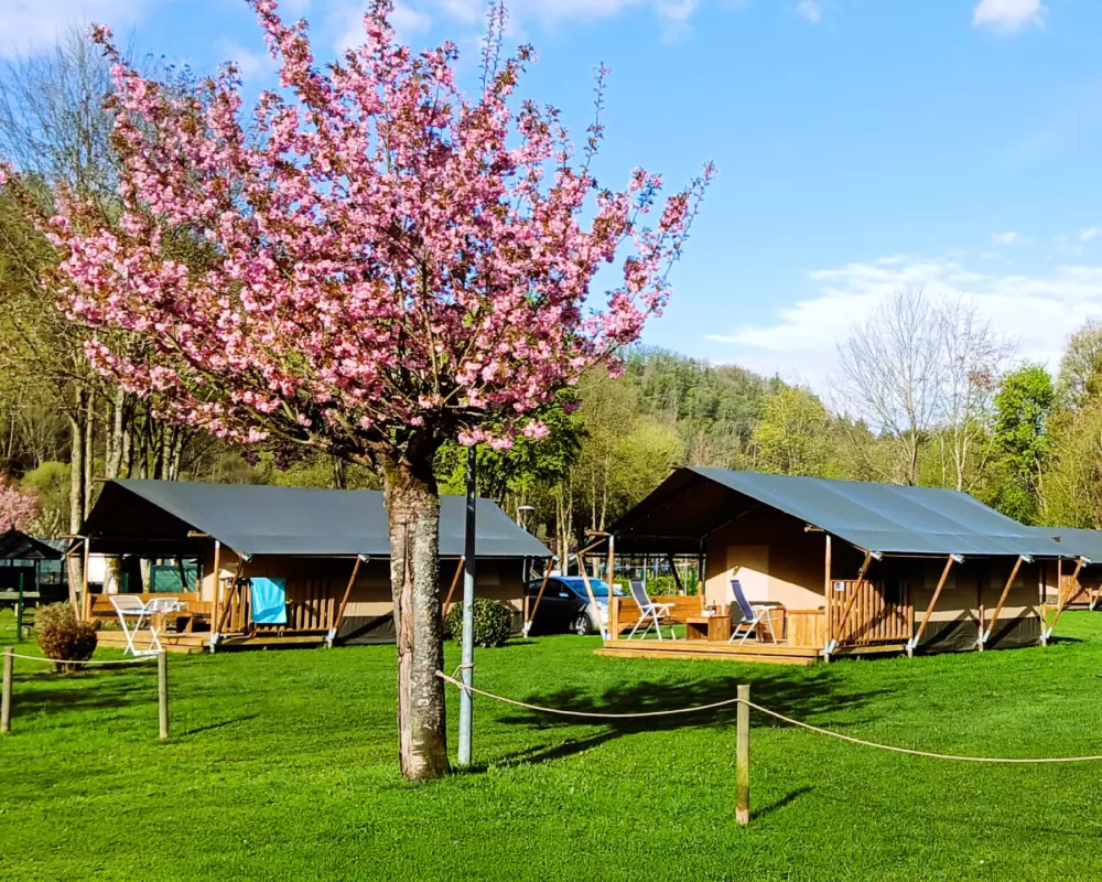 Camping la Roche