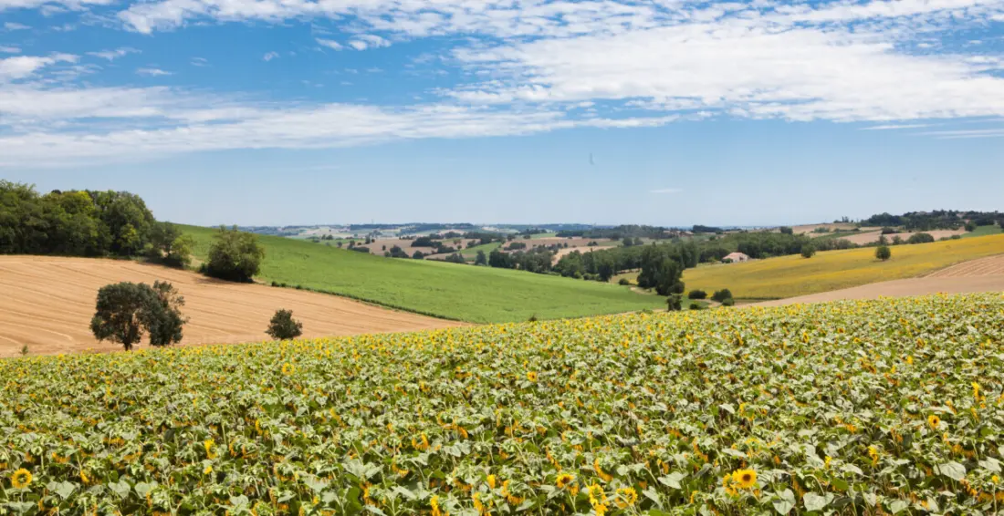 Le Camp de Florence
