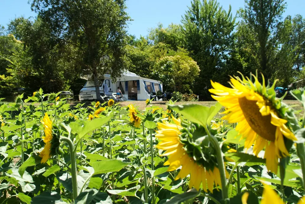 Le Camp de Florence 4 étoiles★★★★