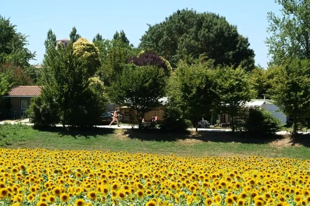 Le Camp de Florence 4 étoiles★★★★