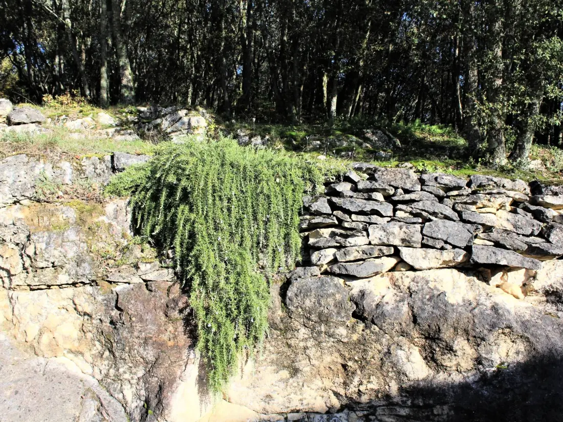Location de Vacances La Roque-Gageac 3