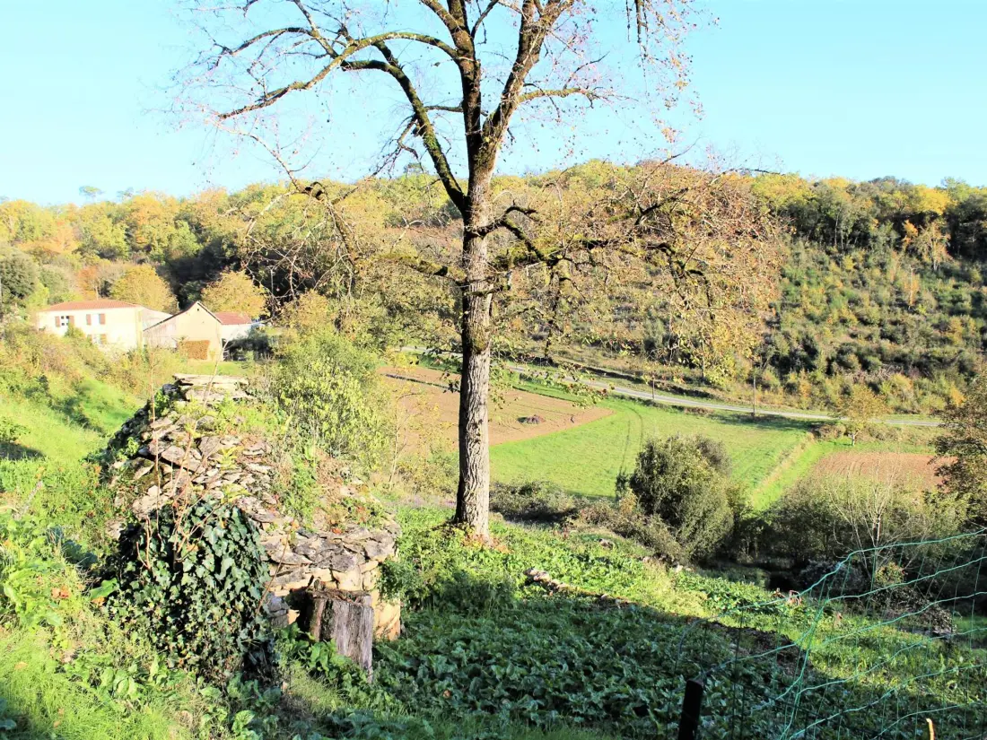Location de Vacances La Roque-Gageac 3