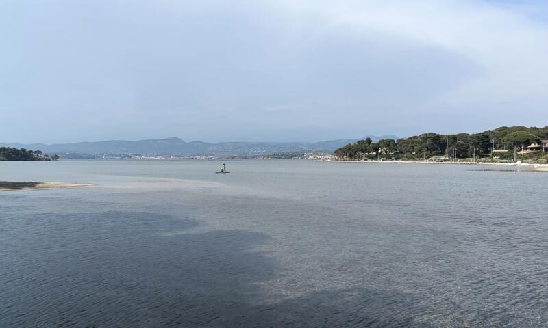 Appartement Avec Piscine Proche De La Plage - - La Seyne sur Mer - 12