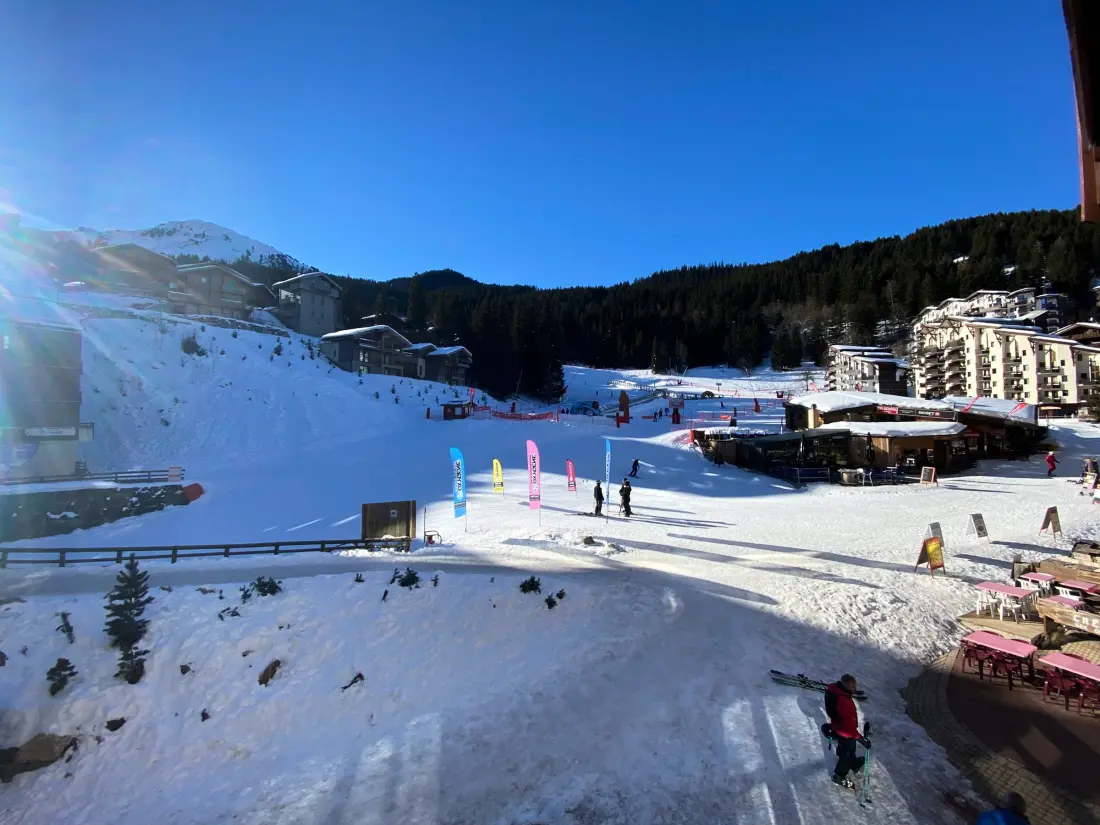 Location de Vacances La Tania 35