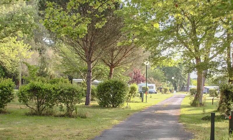 Camping Le Lac De Cazaux ** - - La Teste-de-buch - 2