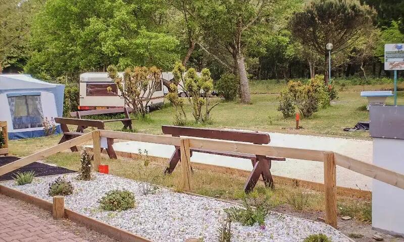 Camping Le Lac De Cazaux ** - - La Teste-de-buch - 3