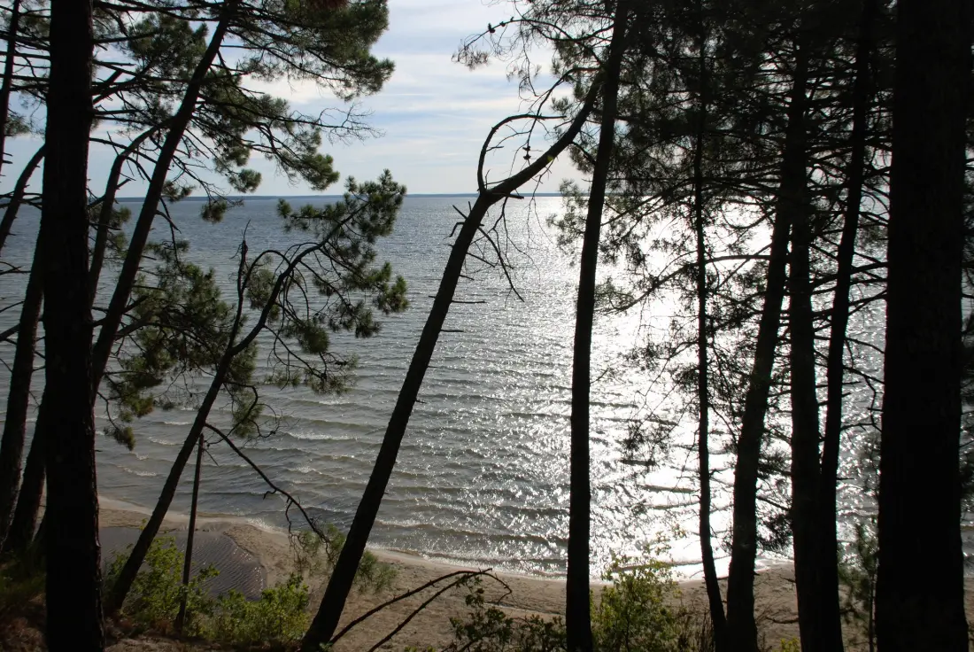Camping Le Lac De Cazaux 2 étoiles★★