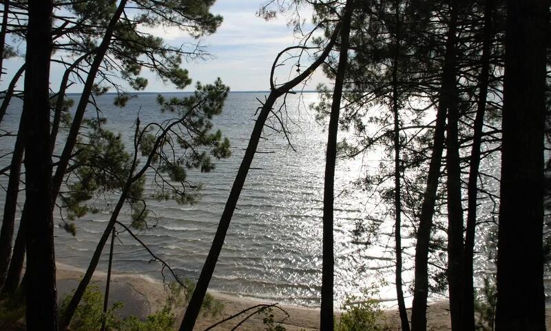 Camping Le Lac De Cazaux ** - - La Teste-de-buch - 4