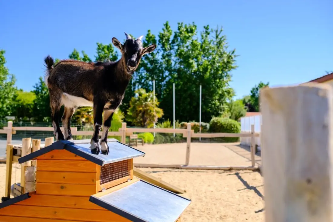 Camping Grand Pré2 étoiles★★