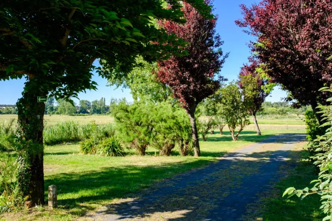 Camping Grand Pré2 étoiles★★