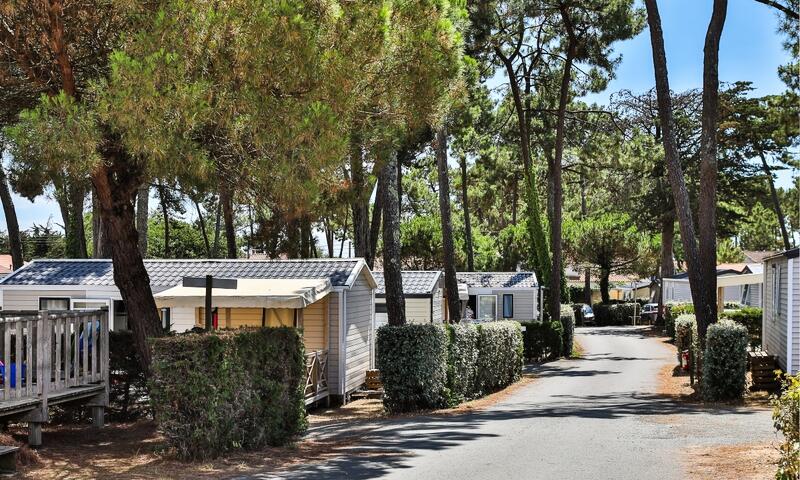 France - Atlantique Nord - La Tranche sur Mer - Camping maeva Club Les Préveils 4*