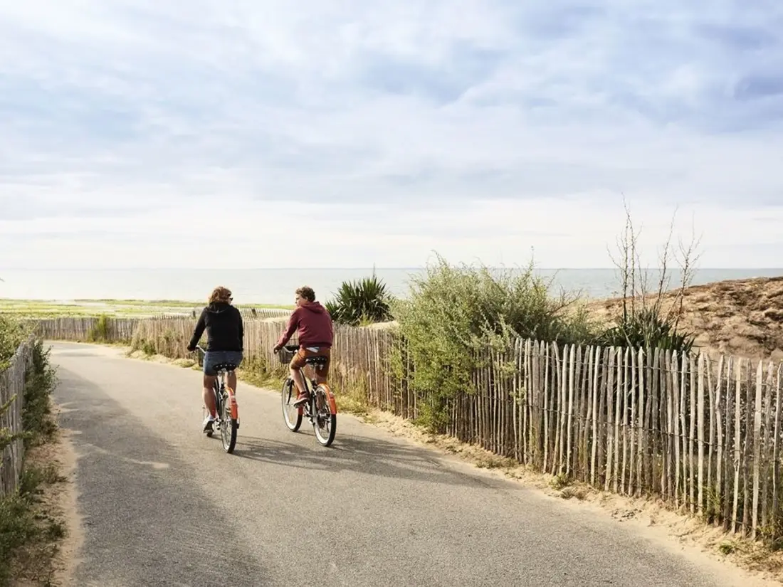 Location de Vacances La Tranche-sur-Mer 879