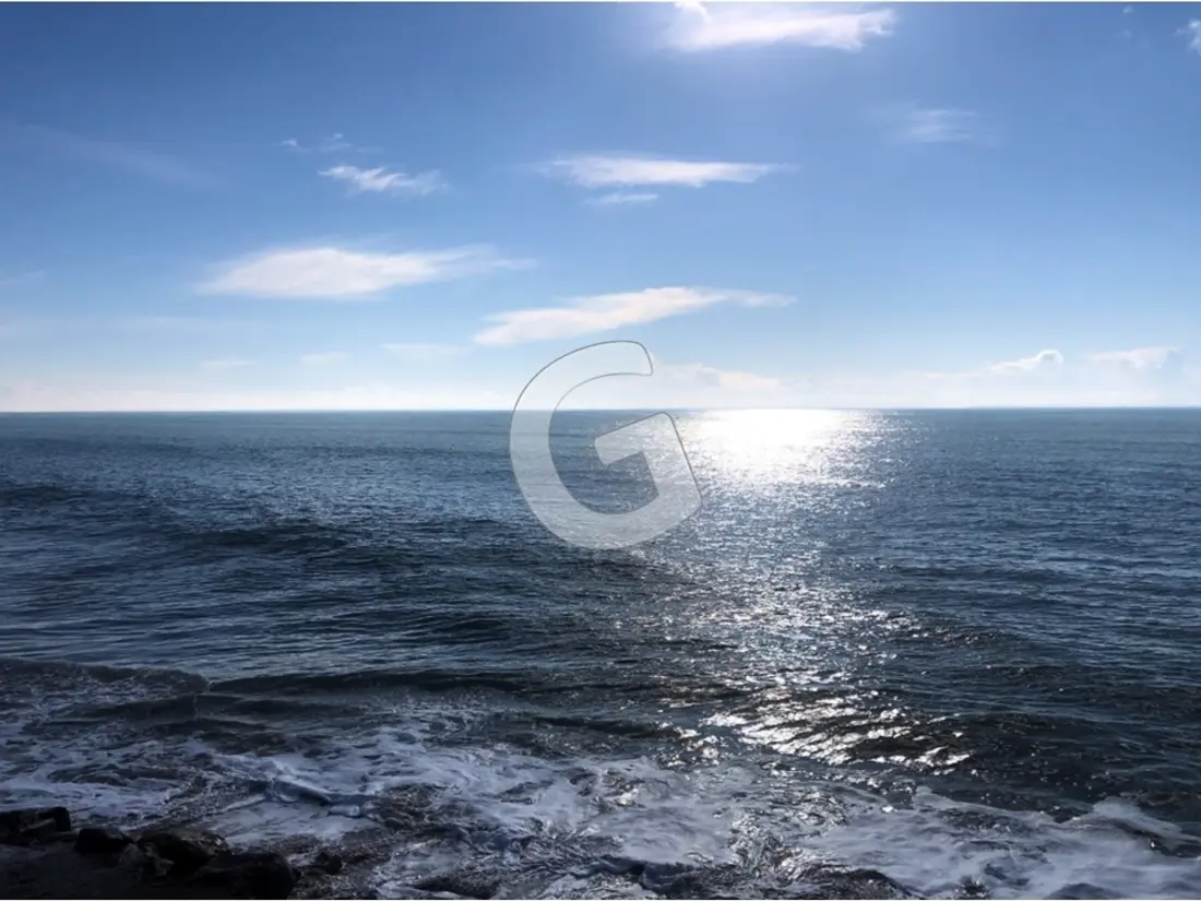 Maison de Vacances La Tranche-sur-Mer 747