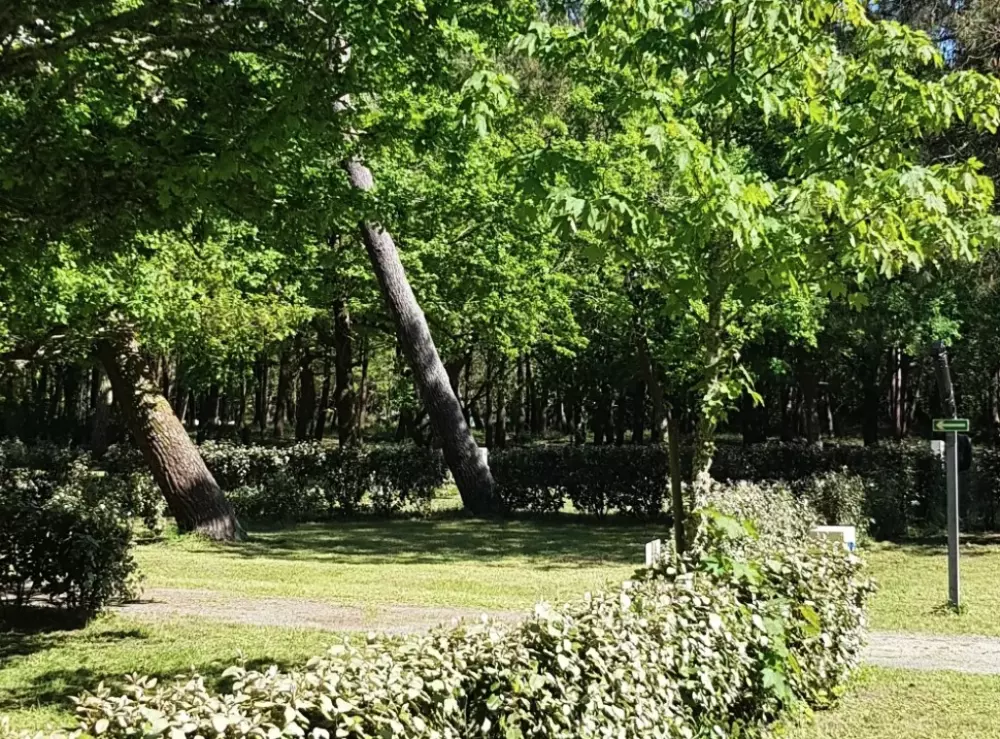 Camping maeva Club La Clairière 4 étoiles★★★★