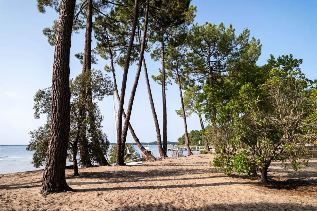 Camping Le Tedey4 étoiles★★★★