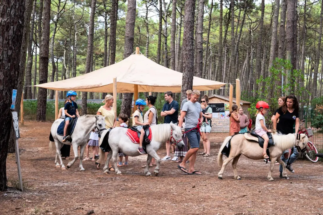Camping Le Tedey4 étoiles★★★★