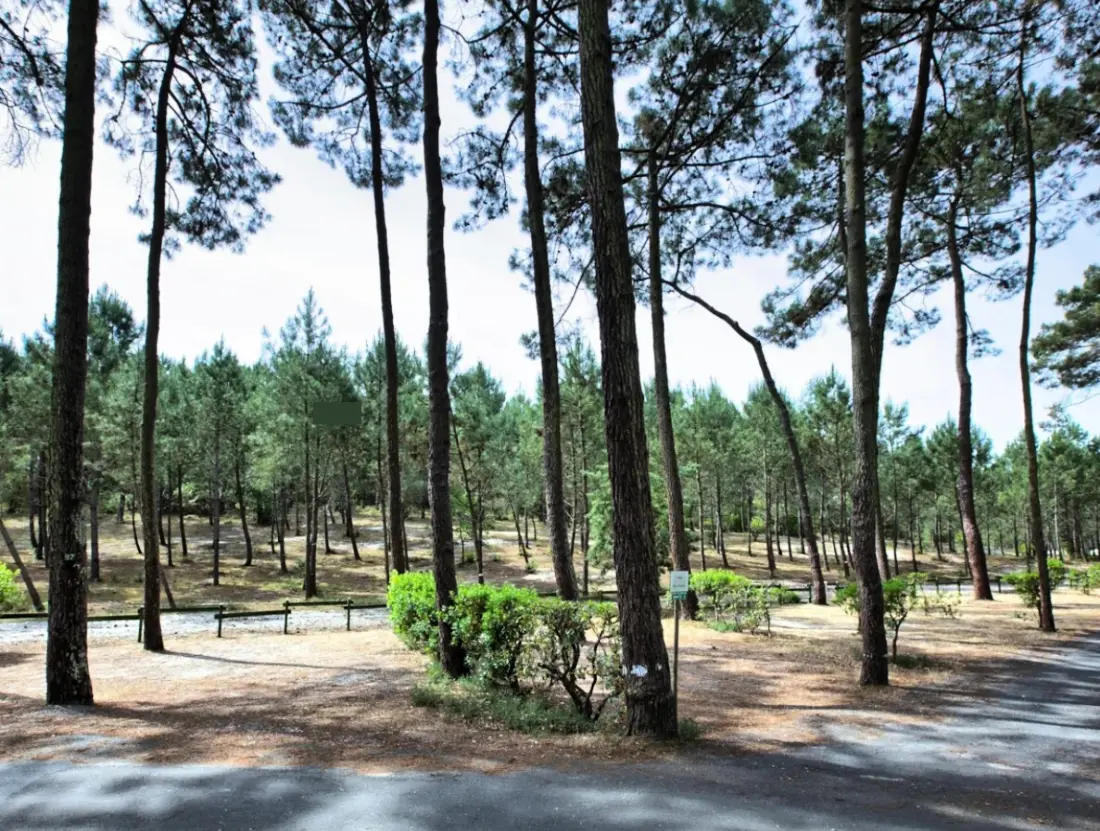 Camping Le Tedey4 étoiles★★★★