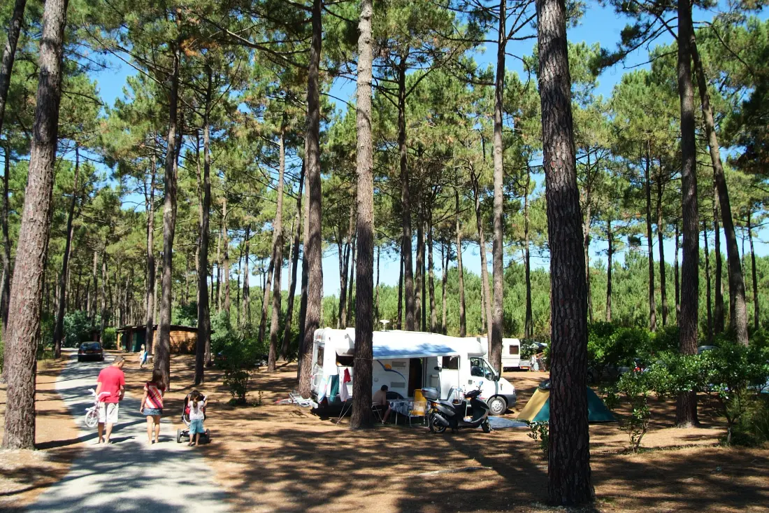 Camping Le Tedey4 étoiles★★★★