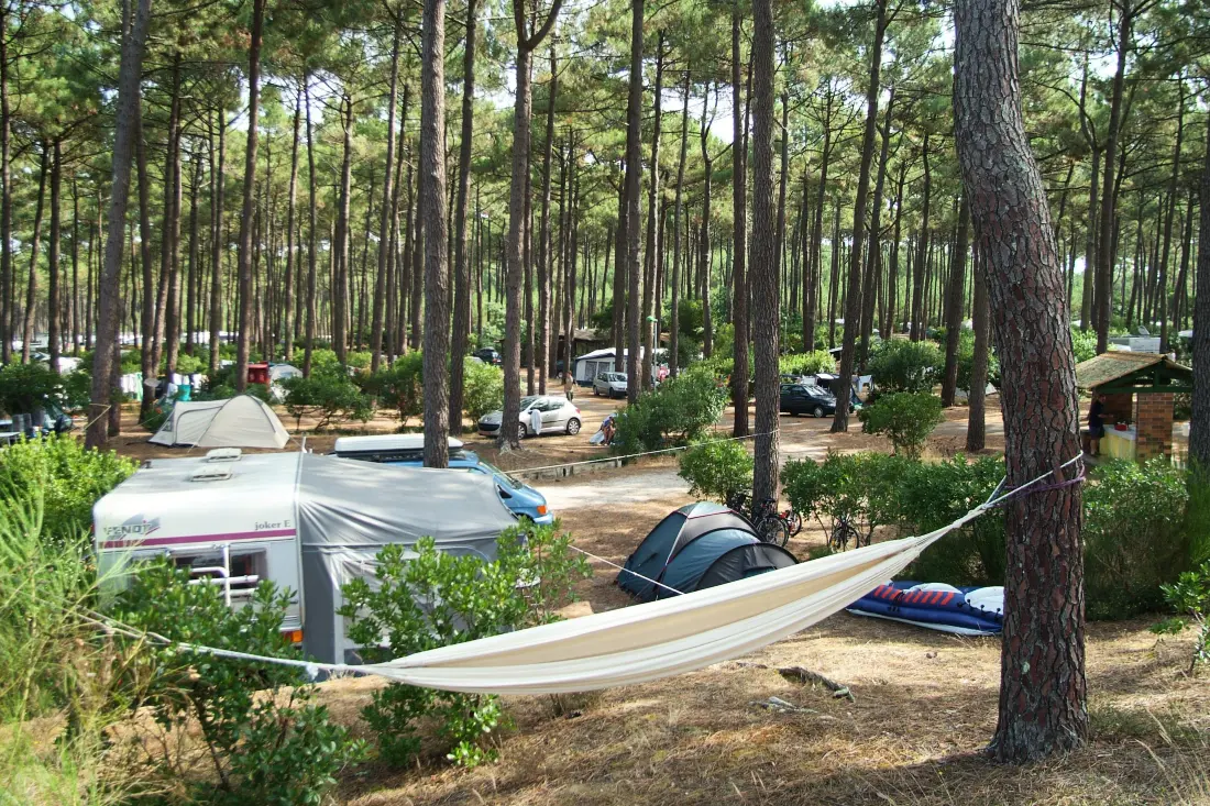 Camping Le Tedey4 étoiles★★★★