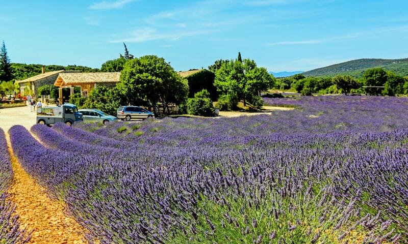 Camping Chadeyron **** - Lagorce - 46