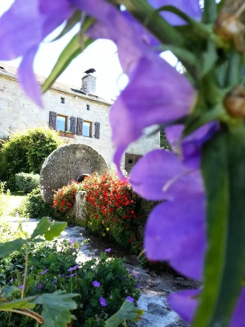 Gîte de France La drosera 3 épis